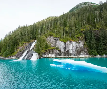 Alaskan Cruises